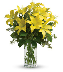 Teleflora's Lily Sunshine from Boulevard Florist Wholesale Market
